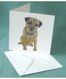 Border Card Border Card